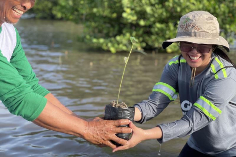 GMEC, GNPD plant 2,000 mangrove seedlings thru flagship reforestation program OkTREEberfest
