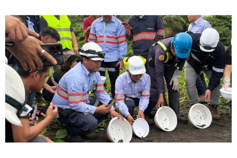 Therma South releases sea turtle hatchlings, highlights conservation efforts